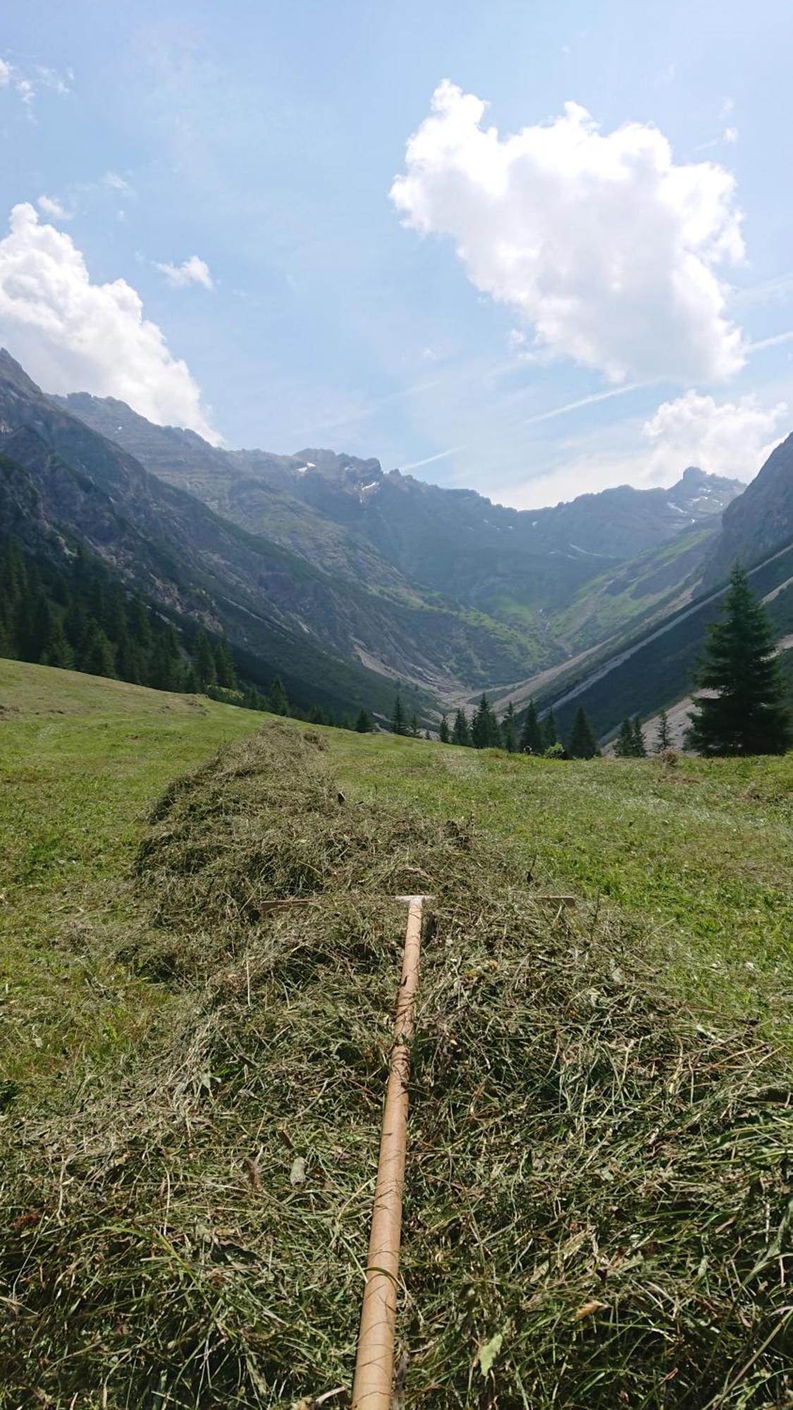 Вилла Bergbauernhof Pabulariu Боден Экстерьер фото